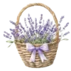 Лавандовый пак