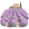 Лавандовый пак