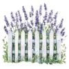 Лавандовый пак