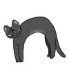 ＜＜ 𝗟𝗼𝘄 𝗧𝗶𝗱𝗲 𝗶𝗻 𝗧𝘄𝗶𝗹𝗶𝗴𝗵𝘁