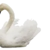 𝚠𝚒𝚍𝚐𝚎𝚝𝚜 🦢