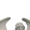 𝚠𝚒𝚍𝚐𝚎𝚝𝚜 🦢