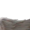 𝚠𝚒𝚍𝚐𝚎𝚝𝚜 🦢
