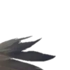 𝚠𝚒𝚍𝚐𝚎𝚝𝚜 🦢