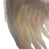 𝚠𝚒𝚍𝚐𝚎𝚝𝚜 🦢