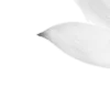 𝚠𝚒𝚍𝚐𝚎𝚝𝚜 🦢