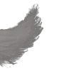 𝚠𝚒𝚍𝚐𝚎𝚝𝚜 🦢