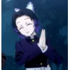 Shinobu kny