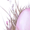 ✧ ✧