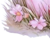 ✧ ✧