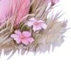 ✧ ✧