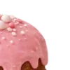 ✧ ✧