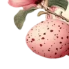 ✧ ✧
