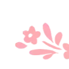✧ ✧