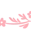 ✧ ✧