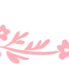 ✧ ✧