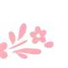 ✧ ✧