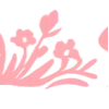 ✧ ✧