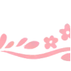 ✧ ✧
