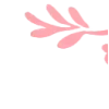 ✧ ✧