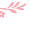 ✧ ✧