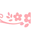 ✧ ✧