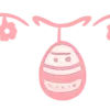 ✧ ✧