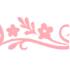 ✧ ✧