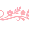 ✧ ✧