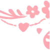 ✧ ✧