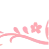 ✧ ✧