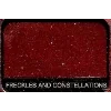 Eye shadow palette by