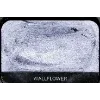 Eye shadow palette by