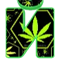 24canabiz
