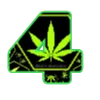 24canabiz