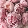 Flowers&..