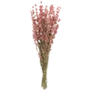 Flowers&..