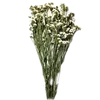 Flowers&..