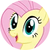 mlp ➜