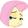 mlp ➜