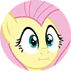 mlp ➜