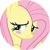 mlp ➜