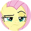 mlp ➜