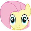 mlp ➜