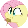 mlp ➜