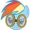 mlp ➜