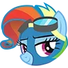 mlp ➜