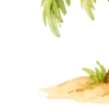 отдых на море