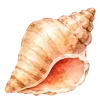 отдых на море