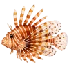 отдых на море
